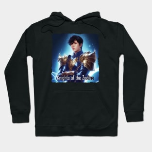 Knights of the Zodiac Hoodie